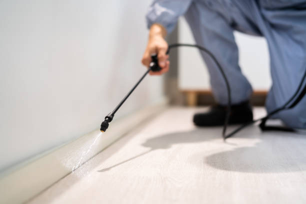 Bed Bug Pre-Treatment Preparation Assessment in Gordonsville