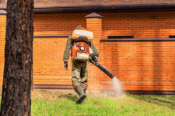 Bed Bug Clearance Verification and Documentation in Gordonsville